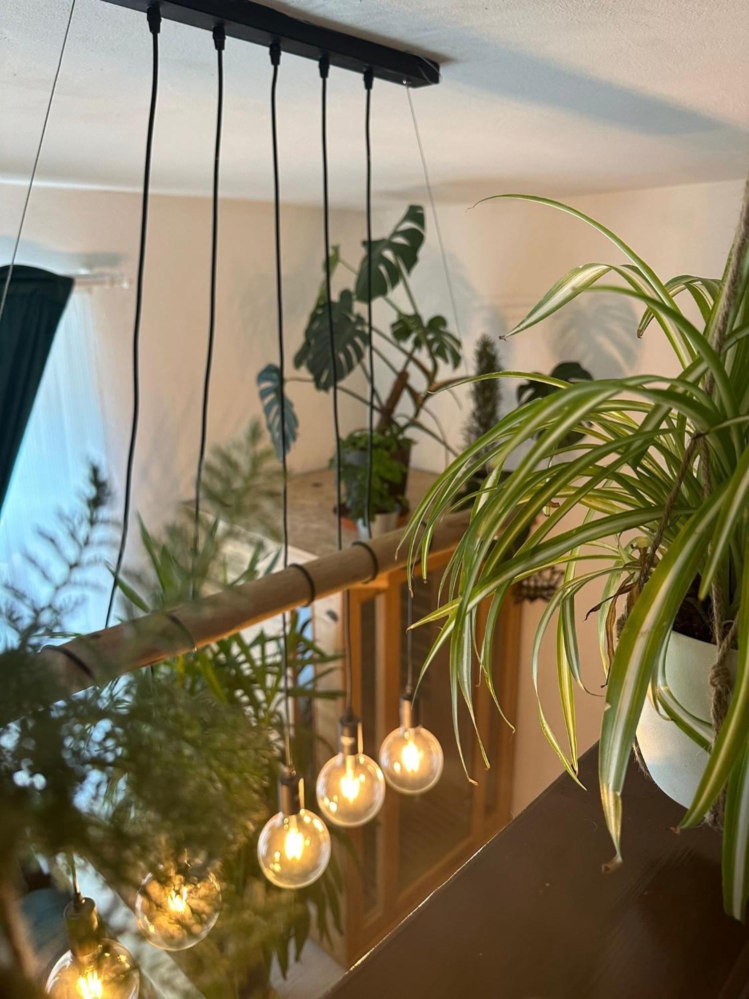Green Garden 데친 외부 사진