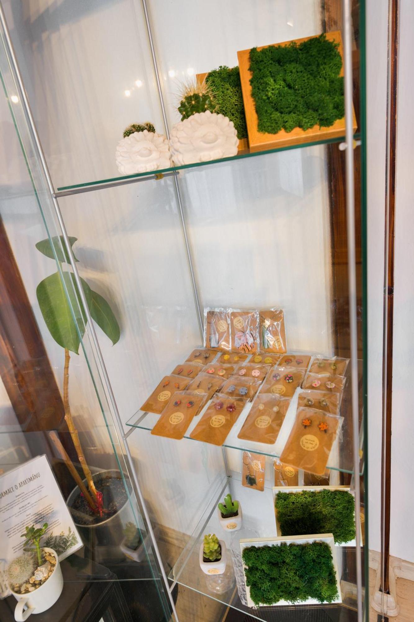 Green Garden 데친 외부 사진
