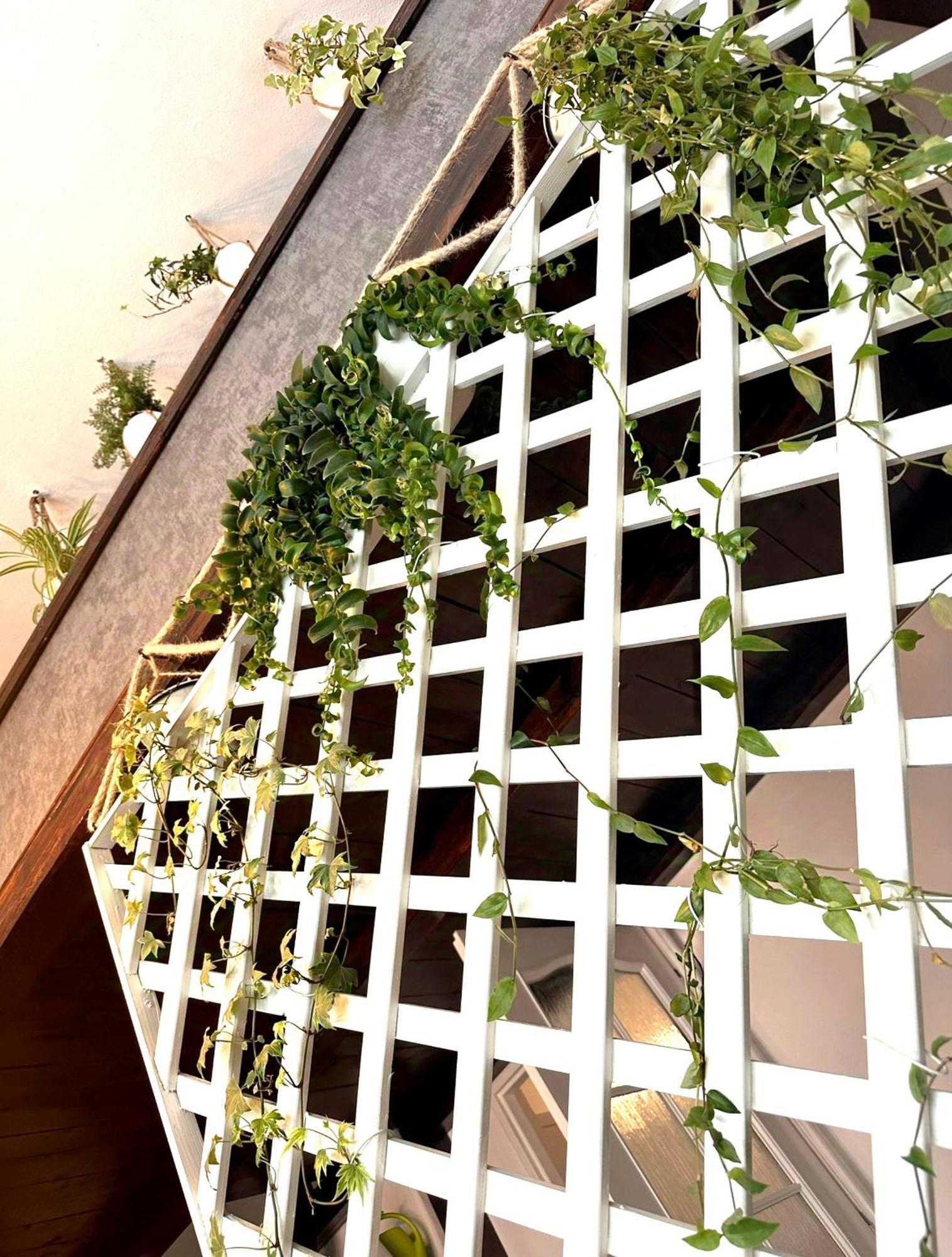 Green Garden 데친 외부 사진